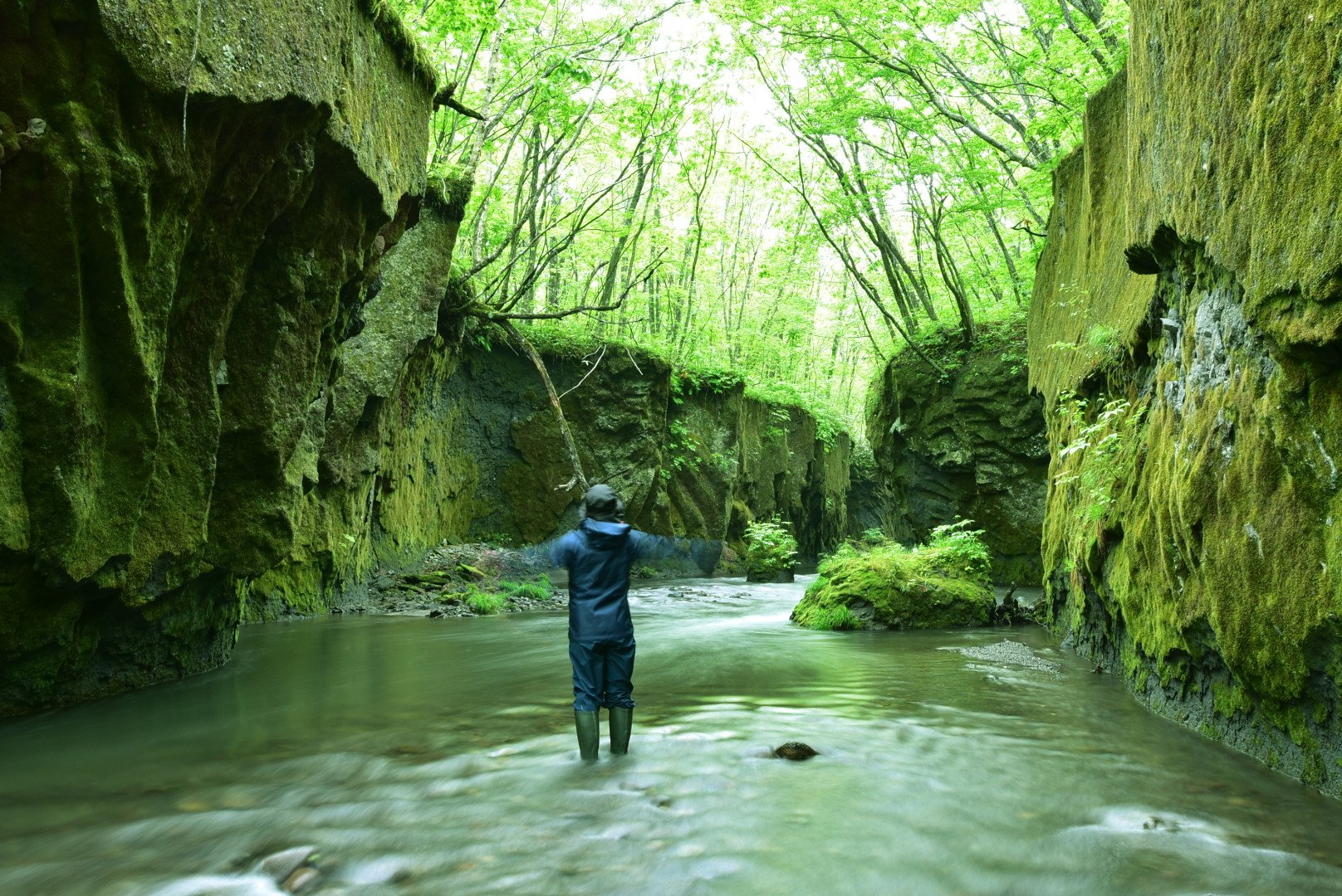 🏞️ 다루마에 협곡(타루마에 가로) 이미지 7